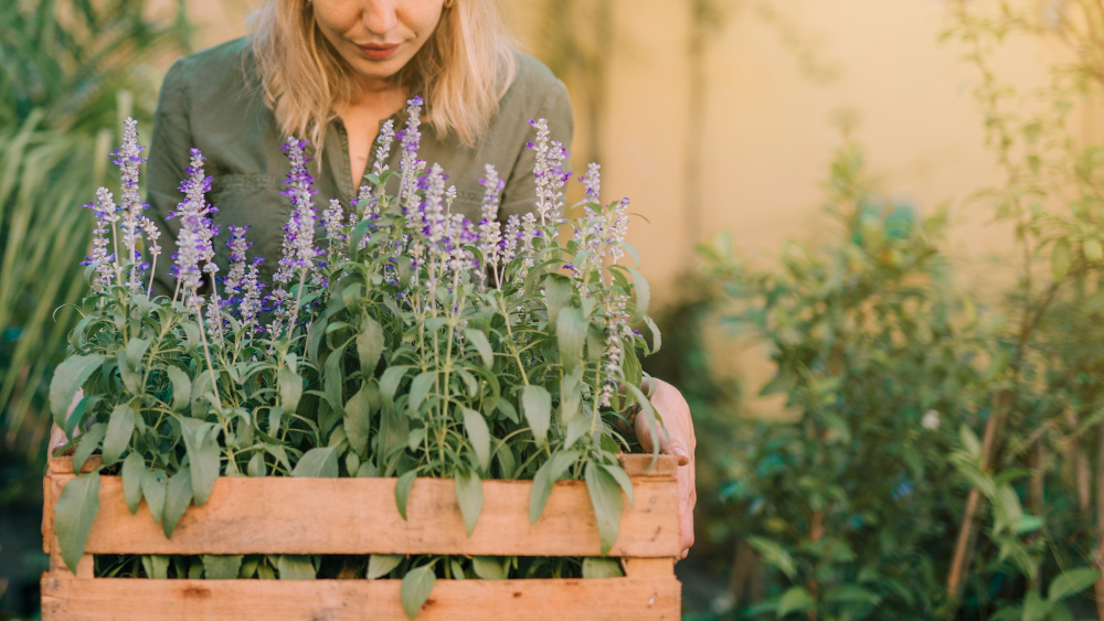 Indoor Herb Gardening: Simple Ways to Grow Fresh Herbs at Home