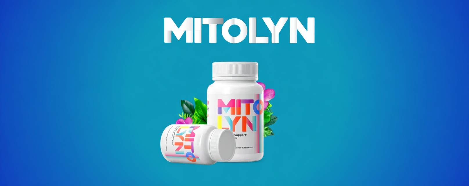Mitolyn Review Does This Metabolism Support Supplement Really Work in 2026_Final Verdict Is Mitolyn Worth It_